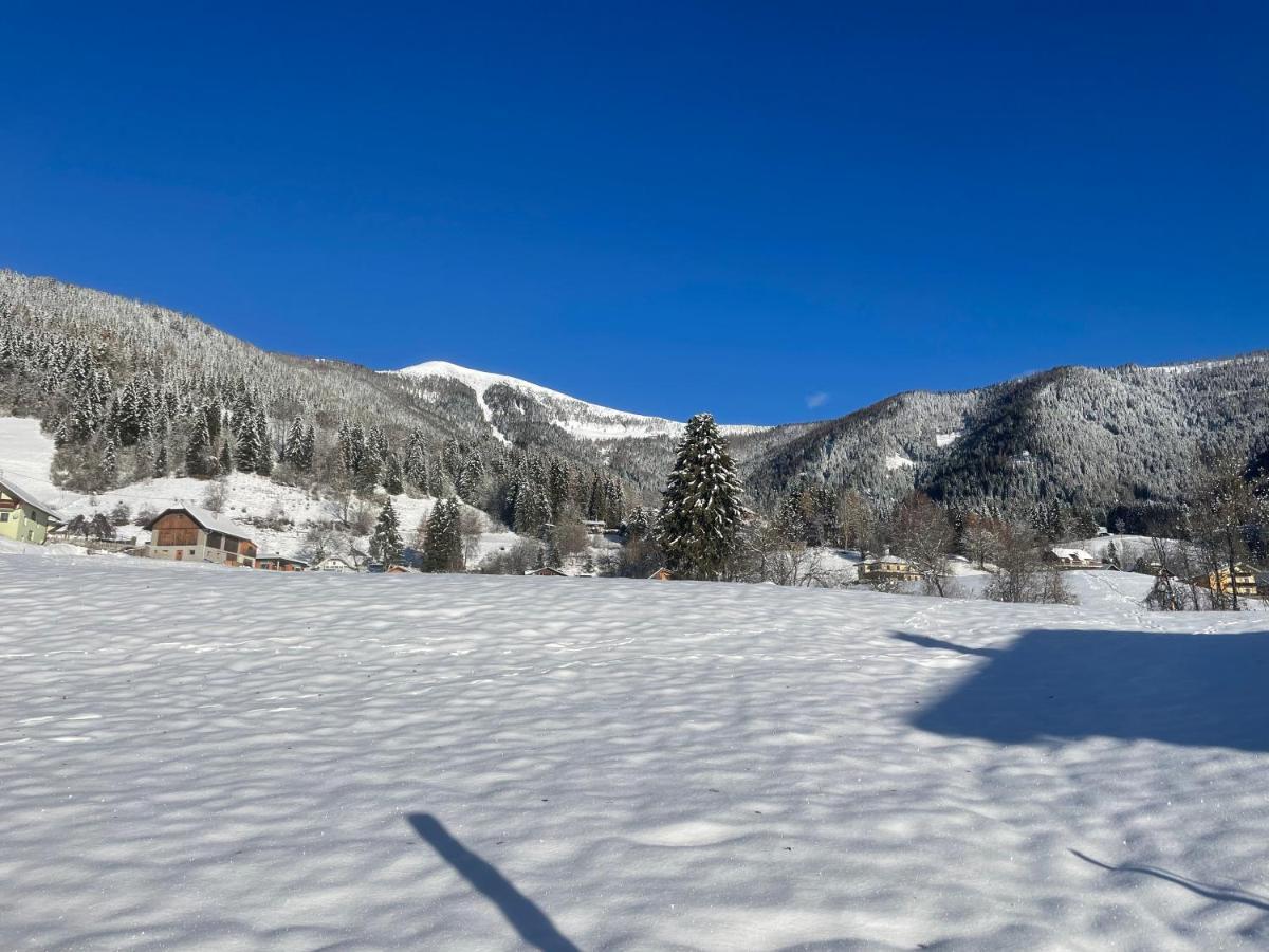 Haus Alina Villa Arriach Екстериор снимка